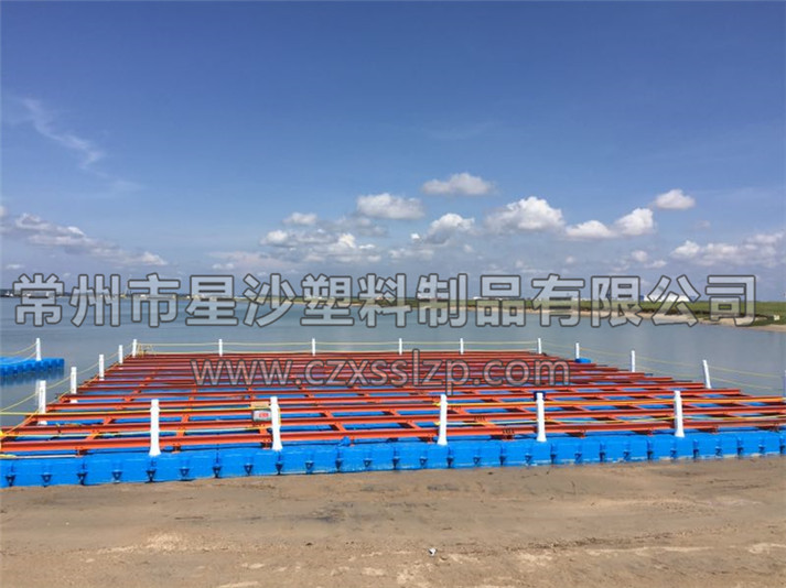 常州市星沙塑料制品有限公司客戶(hù)案例-新加坡抽沙平臺(tái)1
